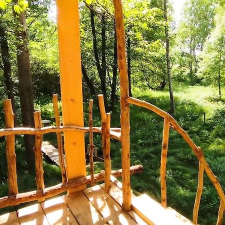 Apartament Treehouse Lea Mikulášovice Zewnętrze zdjęcie