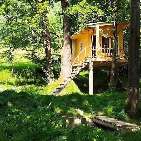 Apartament Treehouse Lea Mikulášovice Zewnętrze zdjęcie