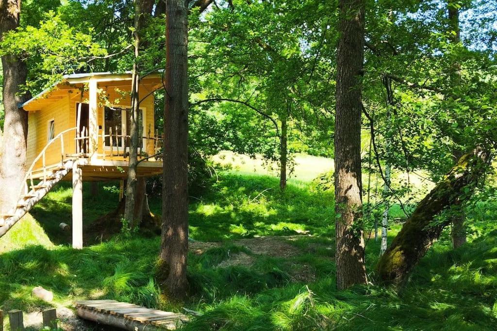 Apartament Treehouse Lea Mikulášovice Zewnętrze zdjęcie