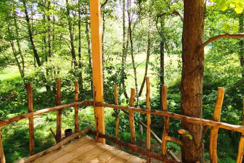 Apartament Treehouse Lea Mikulášovice Zewnętrze zdjęcie