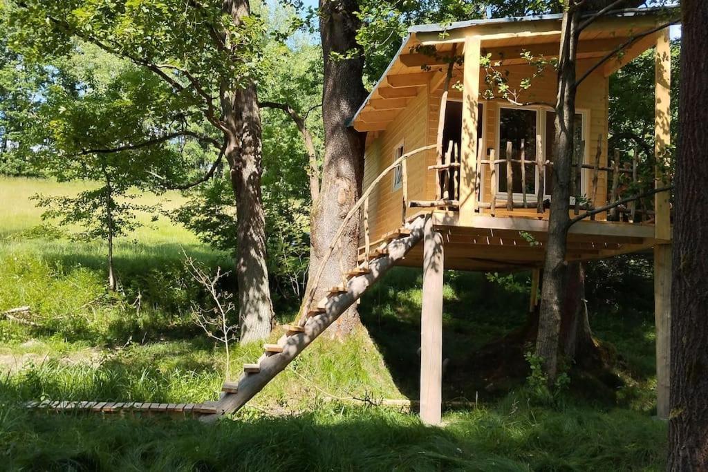 Apartament Treehouse Lea Mikulášovice Zewnętrze zdjęcie